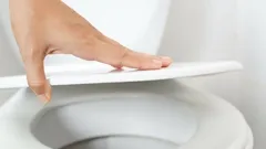 Close the Toilet Lid Every Time You Flush: Remember Why It Matters