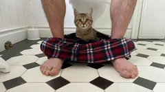 Why Does Your Cat Follow You to the Bathroom? The Secret Behind Feline Behavior Revealed