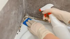 How to Get Rid of Mold in the Bathroom: An Expert Shares Proven Methods