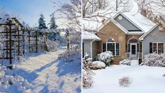 What to Do in the Garden in January: 7 Tips from the Royal Gardener